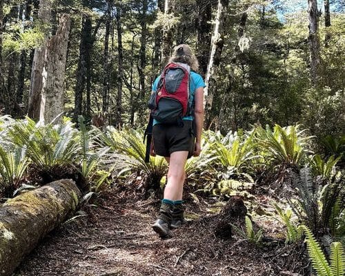 Valley of Feathers Walk